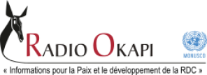 Kilimandjaro Radio Tele Contact